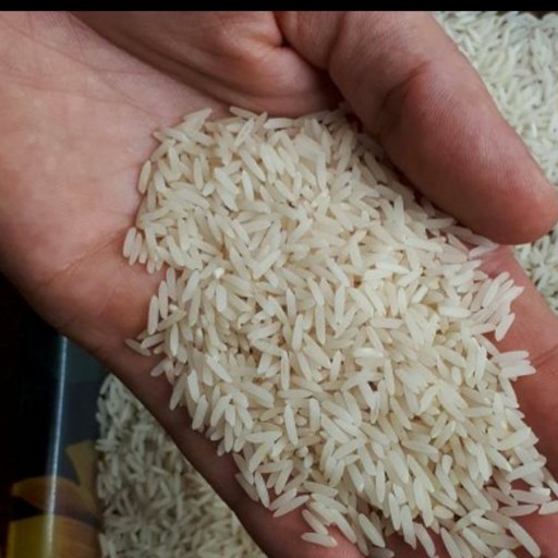 برنج دم سیاه عمده(100 ک)