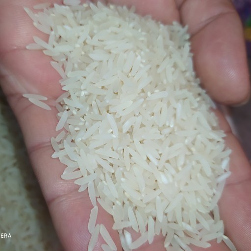 برنج امساله طارم محلی استخوانی (مستقیم از کشاورز) 5 کیلوگرمی