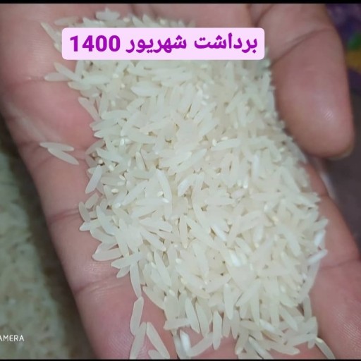 برنج امساله طارم محلی استخوانی(مستقیم از کشاورز ) 10 کیلویی