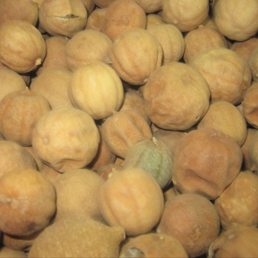 لیمو عمانی ایرانی درجه یک 250 گرمی (فروش ویژه)