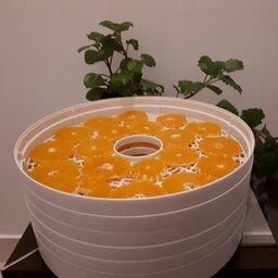 میوه خشک اسلایس نارنگی و پیج و پرتقال 100 گرمی بدون پوست