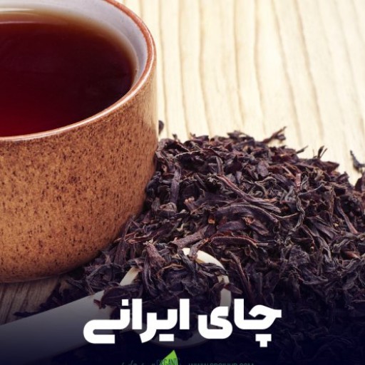 چای ممتاز لاهیجان (مستقیم از تولیدکننده) 900 گرمی - پست پیشتاز