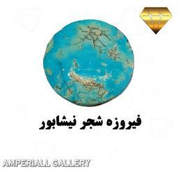 فیروزه شجر نیشابور  رنگ آبی فیروزه ای مشهور به آبی ایران تراش گرد سطح صاف کد 866