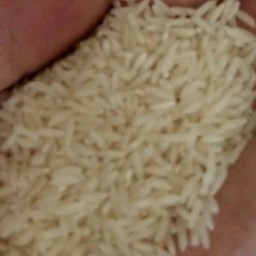 برنج طارم هاشمی یک کیلو