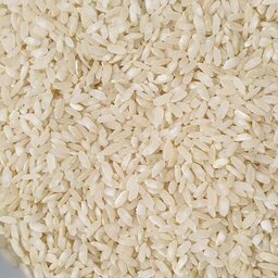 برنج کامفیروزی