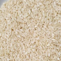 برنج  کامفیروزی