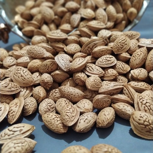 توضیحات تصویر