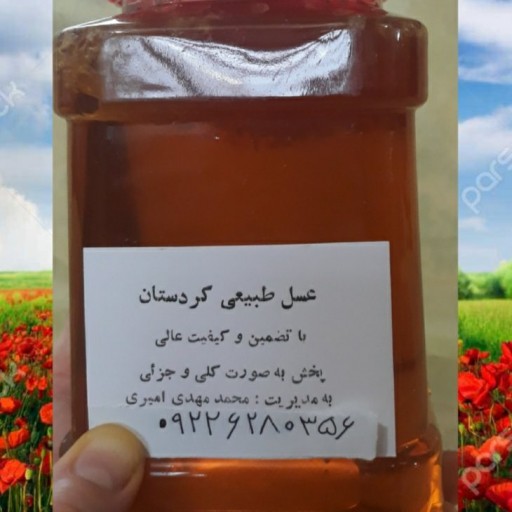 فروش عسل گون اصل کردستان