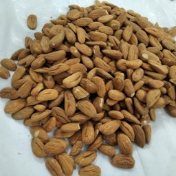 مغز بادام ممتاز ایرانی 500 گرمی(تضمین کیفیت)