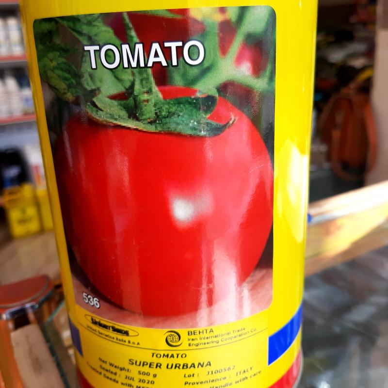 بذر گوجه یونیژن ایتالیایی 10 گرمی