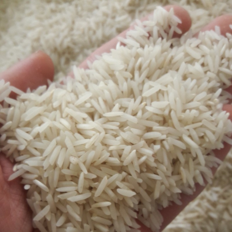 برنج شیرودی درجه یک 40 کیلویی