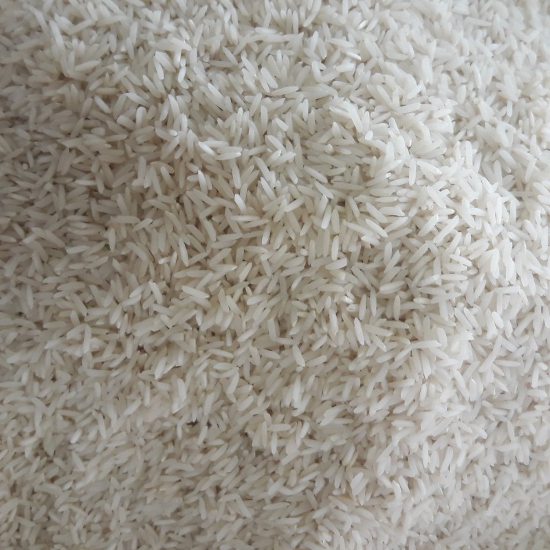 برنج شیرودی درجه یک 40 کیلویی