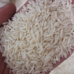 1 تن برنج هاشمی شمال