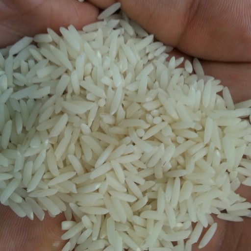 برنج دمسیاه هاشمی 10 کیلویی اعلای اعلا