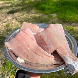 ماهی شوریده ( پک 10 کیلویی )