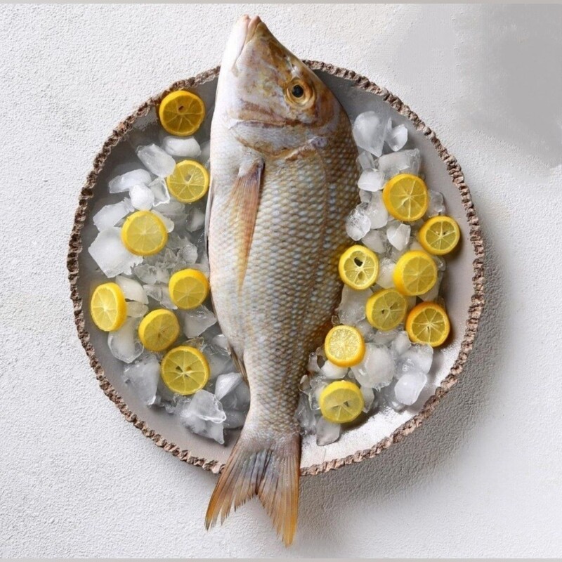 ماهی شِعری ( پک 5 کیلویی )