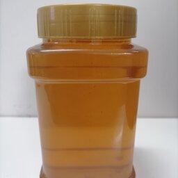 عسل کنار کنجد یک کیلوگرم 
