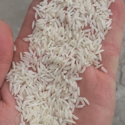 برنج طارم هاشمی (5کیلویی) غربال و سورت شده صداقت