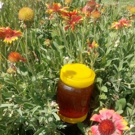 عسل طبیعی بدون موم (1000گرم) از کوهای کردستان 90درصد خالص