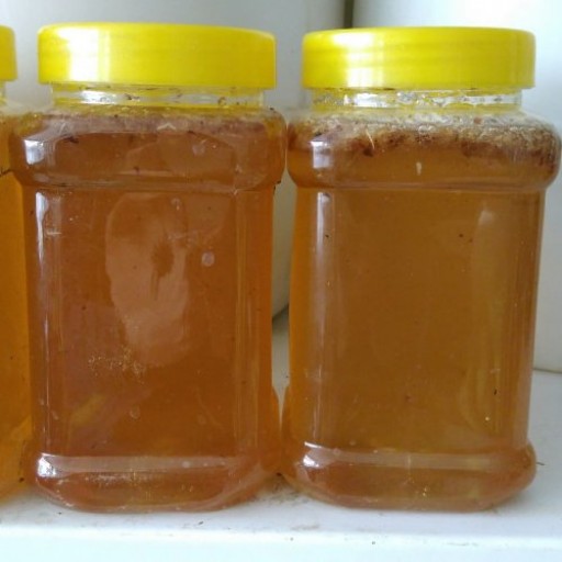 عسل گون گز یا گون انگبین طبیعی رنگ روشن