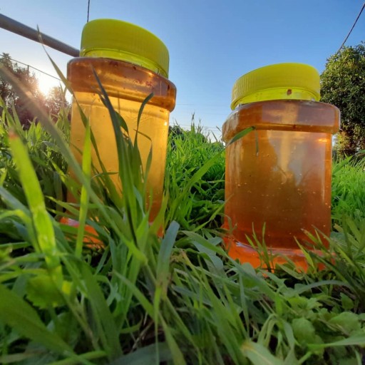 عسل طبیعی شاریز _ مستقیم از زنبوردار خرید کنید