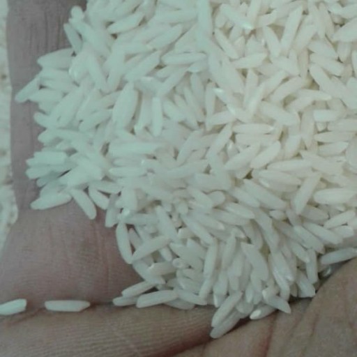 برنج هاشمی مطهر اعلا مقدار 10 کیلوگرم محصول جدید 1400