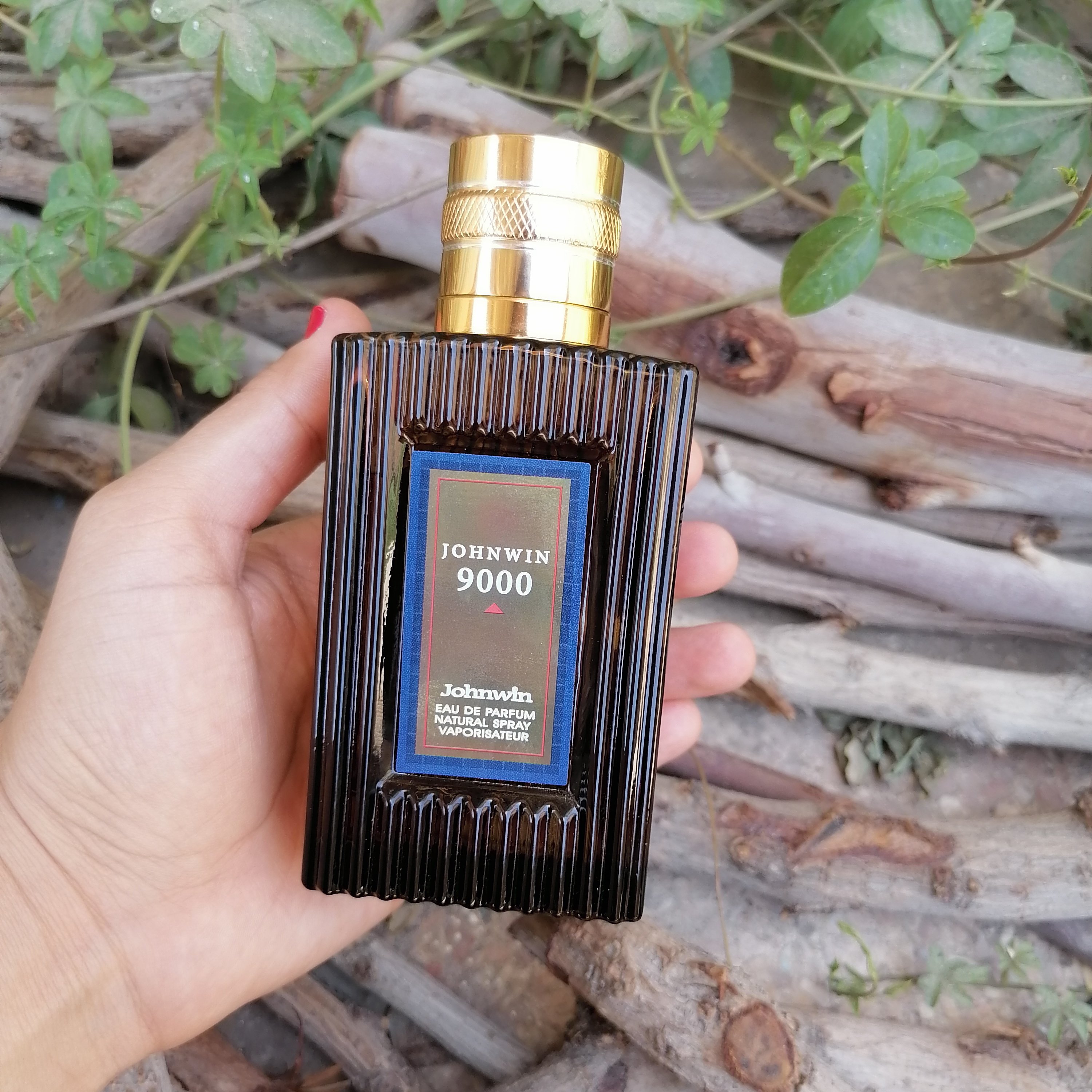 عطر ادکلن آرامیس 900 مردانه اماراتی سایز 100 میل   Aramis 900 