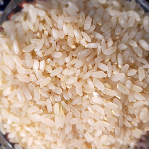 برنج لنجان(2کیلو گرمی) خوش عطر و خوش طعم