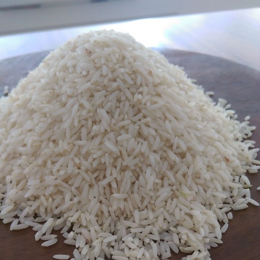 برنج طارم محلی ممتاز فریدونکنار