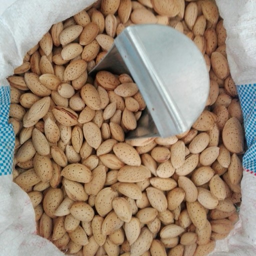 بادام سنگی(2کیلو)