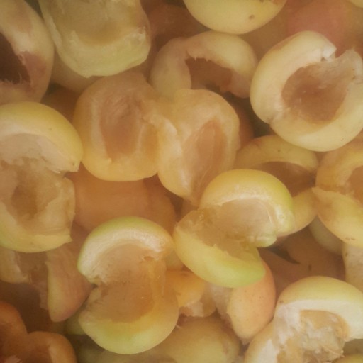 لواشک خانگی زردآلو تهیه شده از میوه زرد آلو وسیب