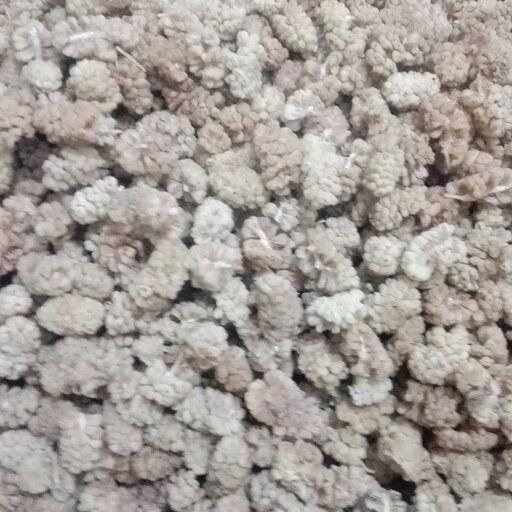 توت خشک تمیز  یزد محصول1402(2 کیلویی)