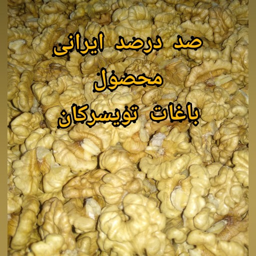 مغز گردو سفید درجه یک