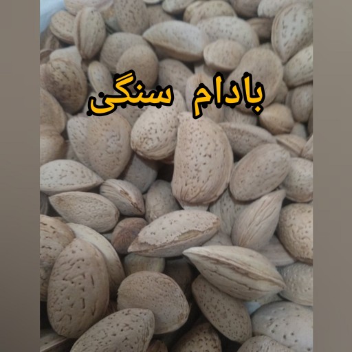 بادام سنگی