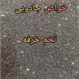 تخم خرفه 3 کیلویی