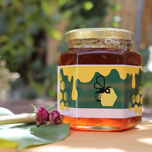 عسل ارگانیک گشنیز وحشی (500 g) هوشمند مسیحا