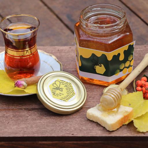 عسل ارگانیک کردستان (500 g)هوشمند مسیحا