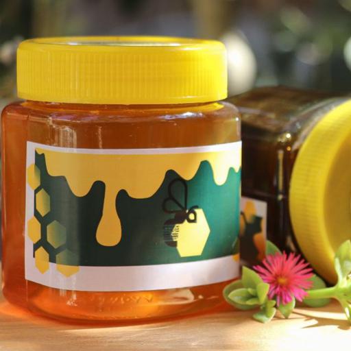 عسل ارگانیک زول (500 g ) هوشمند مسیحا