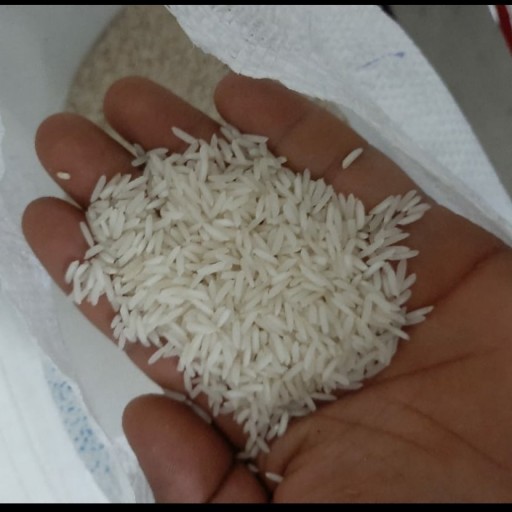 برنج طارم شیرودی درجه 1