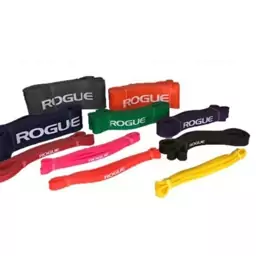 کش پاورباند ROGUE