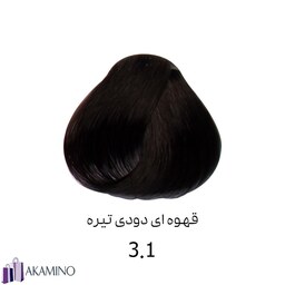 رنگ موی قهوه ای دودی تیره دنی وان کد 3.1