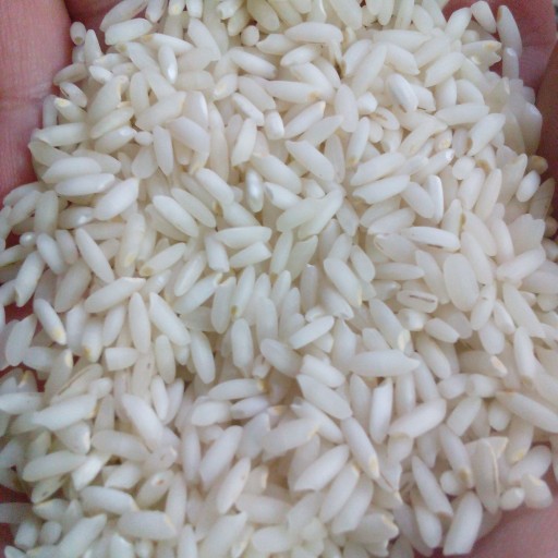 برنج عنبربو ارسال با اتوبوس یا قطار