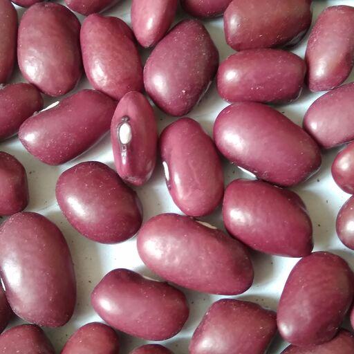 لوبیا قرمز - محصول امسال - خوش پخت - ایرانی - تازه و خوشمزه 