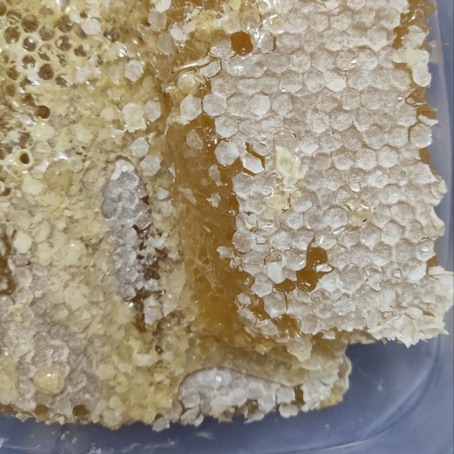 عسل مومدار طبیعی سبلان - یک کیلو