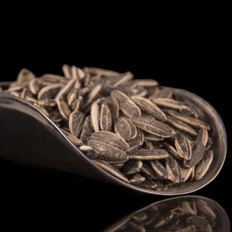 تخمه دورسفید ممتاز (900گرم خالص)