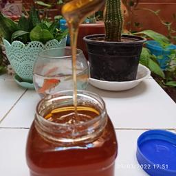 عسل چهل گیاه طبیعی  با وزن 500 گرم محصولی از عسل کحالی 
