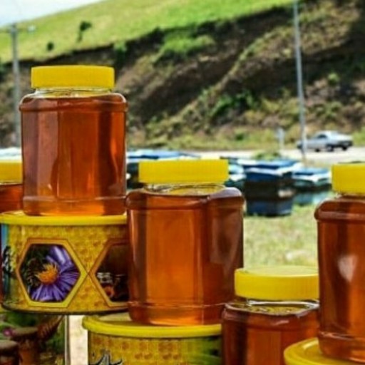 عسل شقاقل چهل گیاه وزن1000 گرمی مستقیم از تولید کننده
