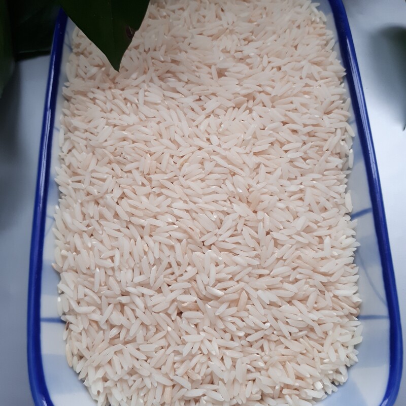 برنج صدری گیلان کشت اول سال 1402  بسته 10 کیلوگرمی(خرید مستقیم از شالیکار و استفاده از کود حیوانی)
