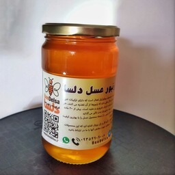 عسل گون طبیعی (یک کیلو گرم )