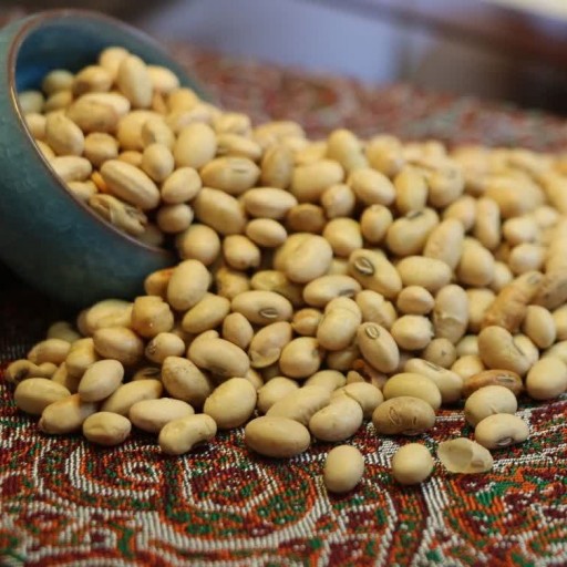 توضیحات تصویر